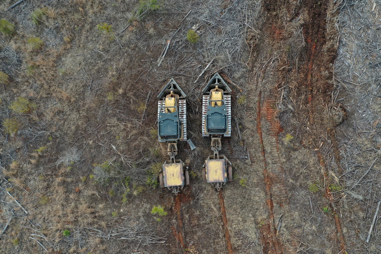 Woodland Works forestry and land management team