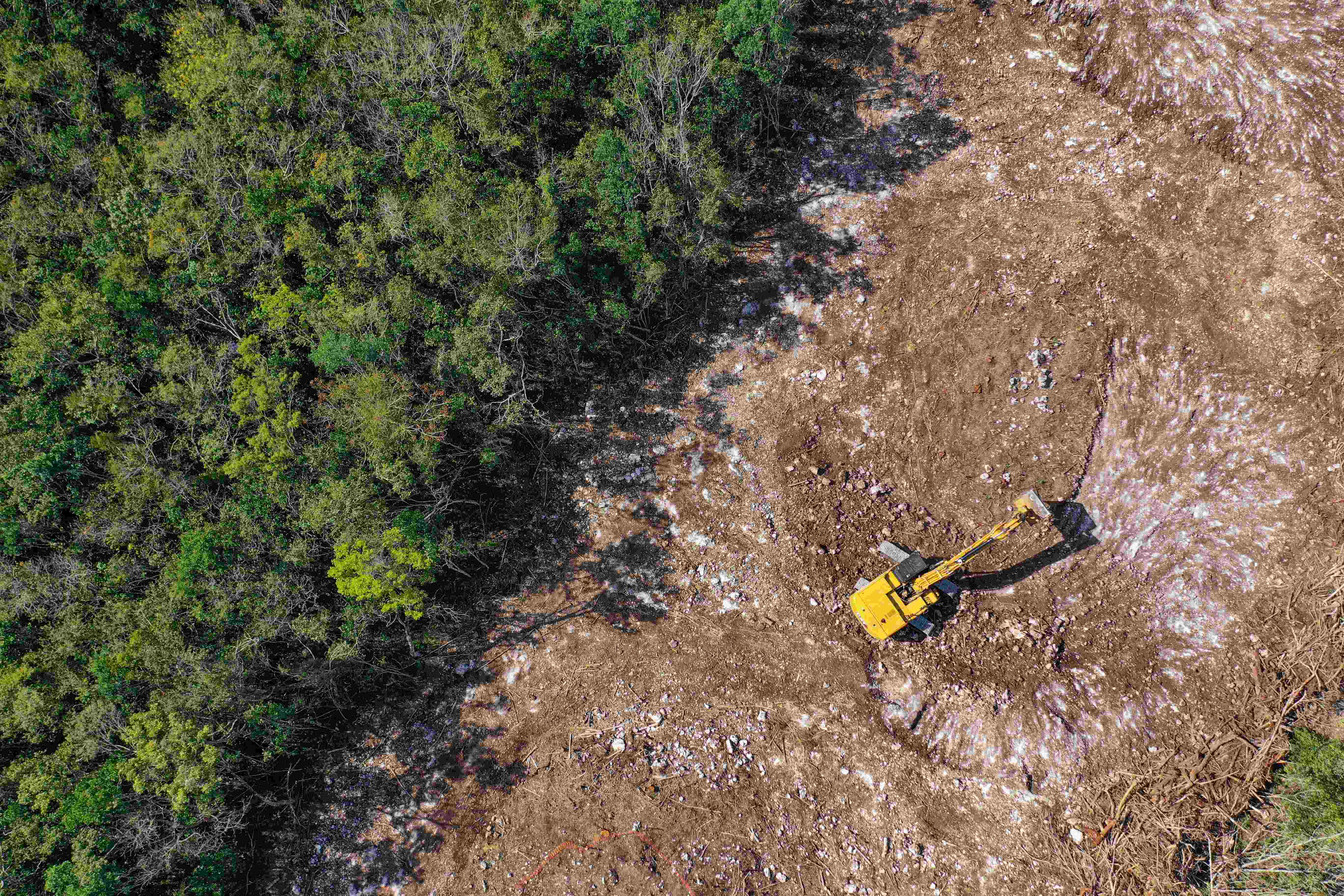 Tree Planting & Site Preparation in Jackson, Georgia