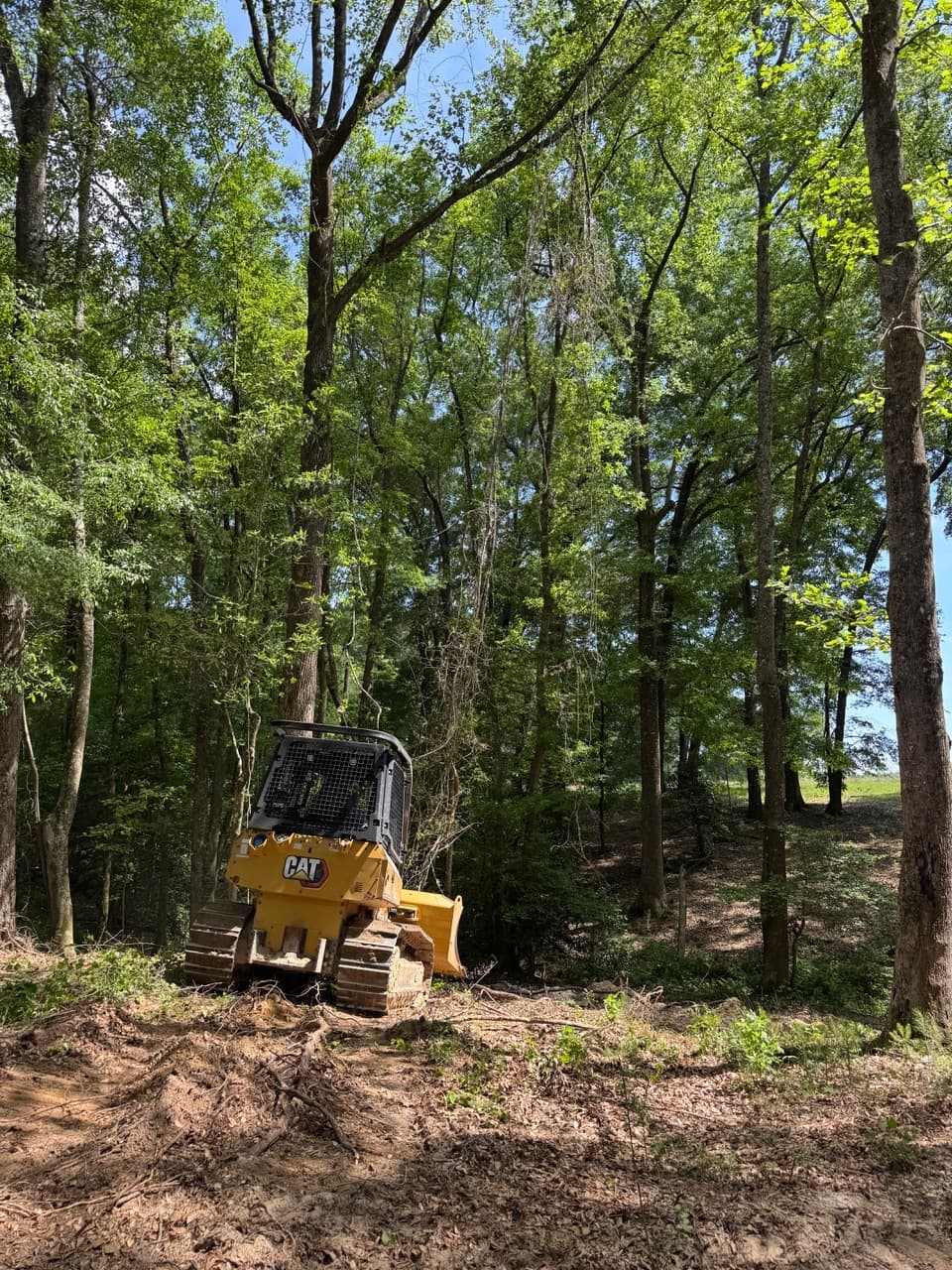 Tree Service Background