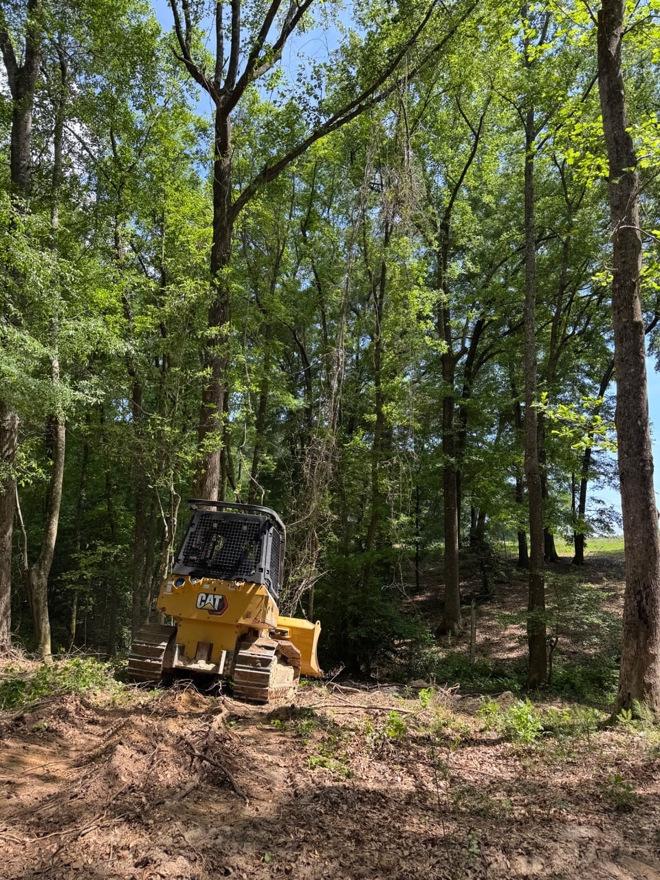 Forestry Mulching Background