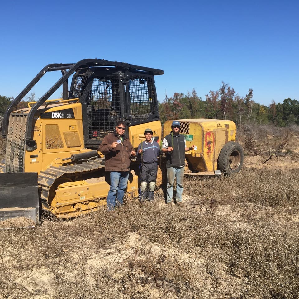 Tree Service Background