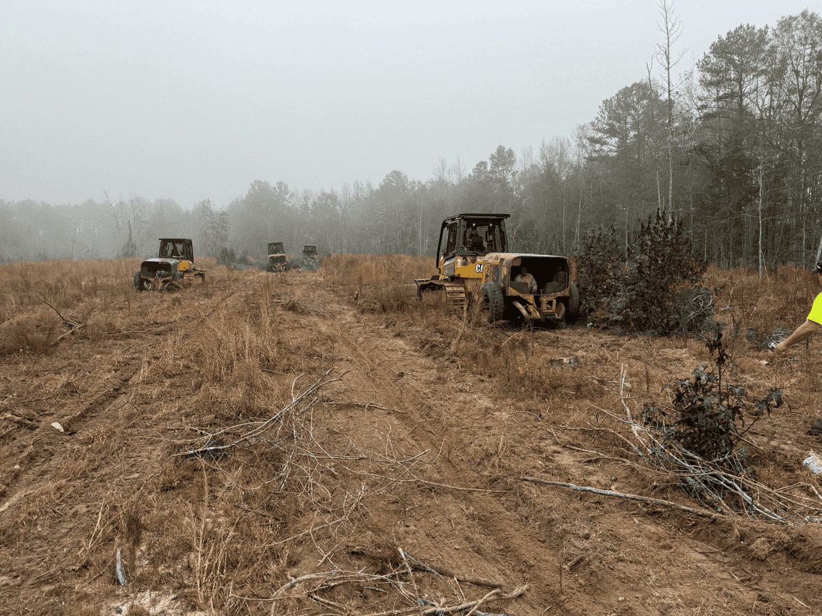Machine Tree Planting background