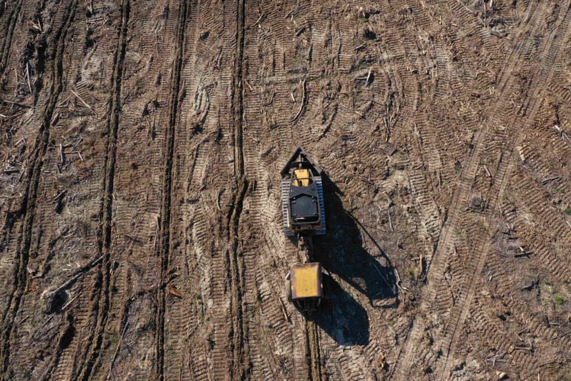 Tractor preparing wildlife food plot for deer habitat management