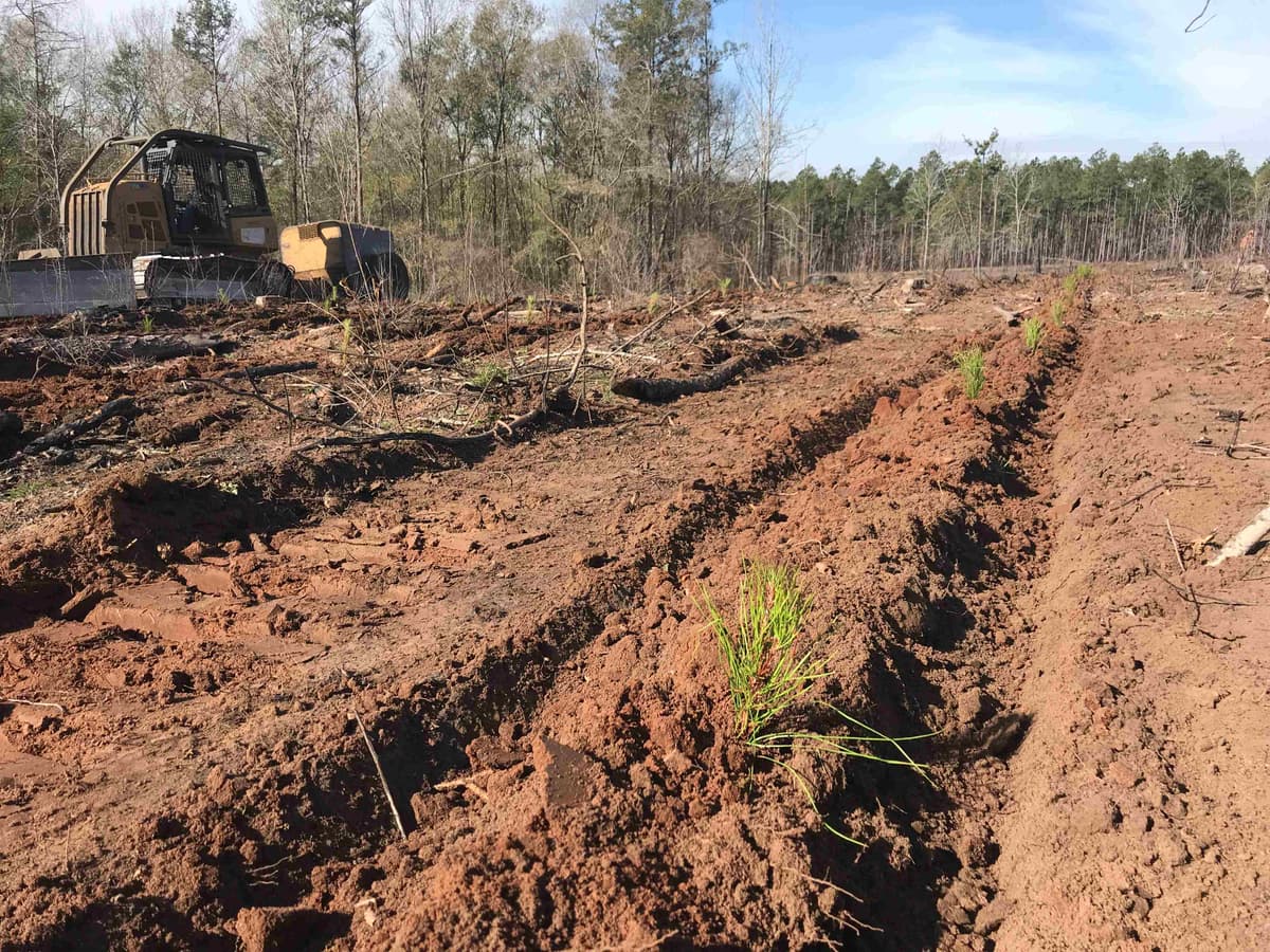 Additional Content Image