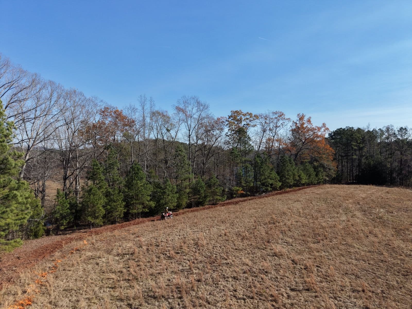 Professional prescribed burning crew conducting a controlled forest fire